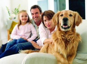 Alarm system for houses with pets